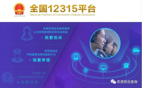 軟件技術賦能 我國鄉村產業未來發展的新引擎